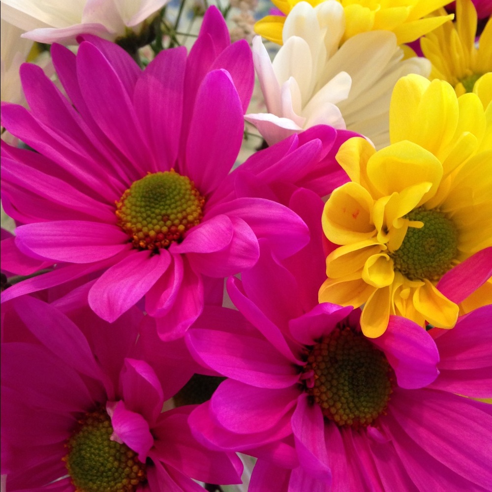 Meet your Posher, Rebec